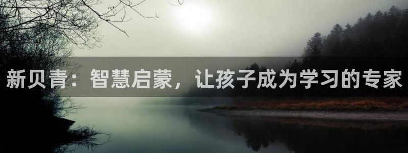 调用cq9电子失败