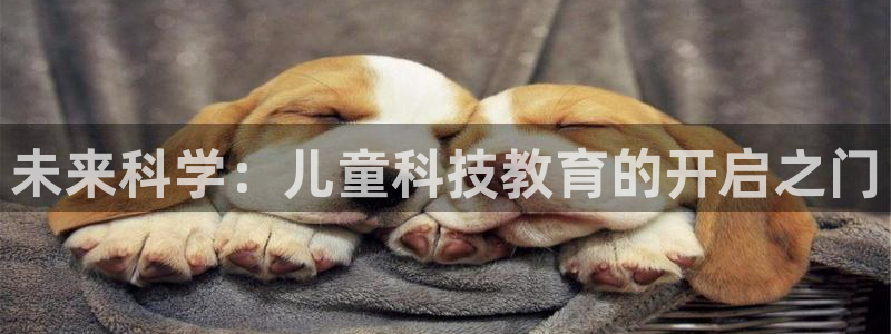 cq9电子试玩技巧