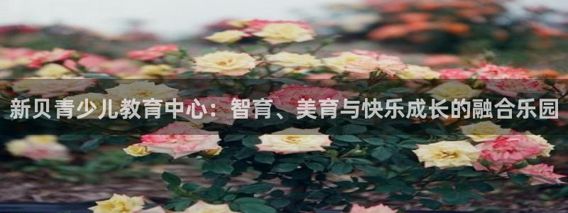 cq9电子跳教学