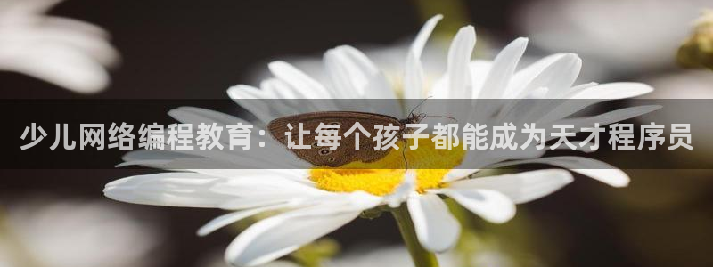 火凤凰cq9电子跳