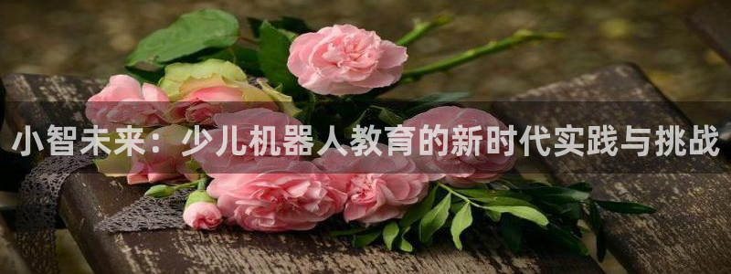 cq9传奇电子游戏技巧