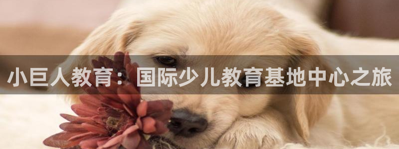 官方版CQ9电子