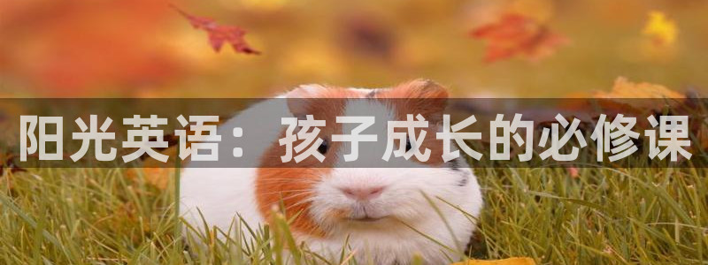 cq9电子有多假
