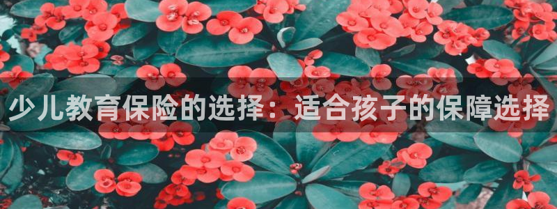 cq9电子体验版