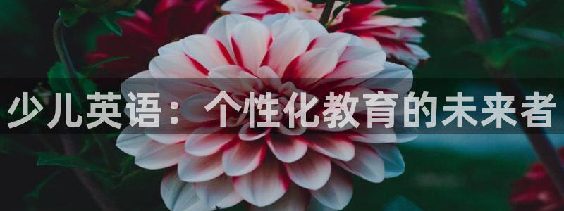 cq9电子火神视频