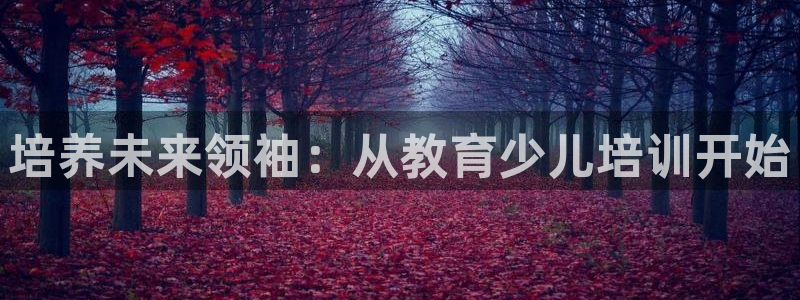 cq9电子忍者浣熊