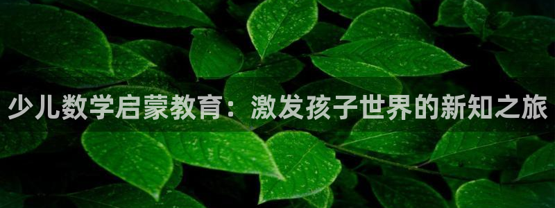 cq9电子那个好打点