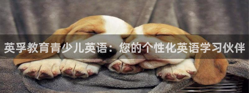 传奇cq9电子琴