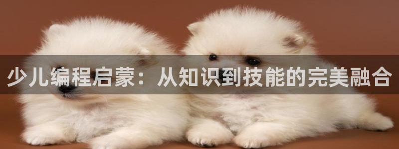 cq9电子娱乐