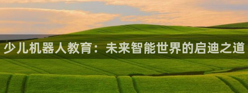 电子cq9什么意思