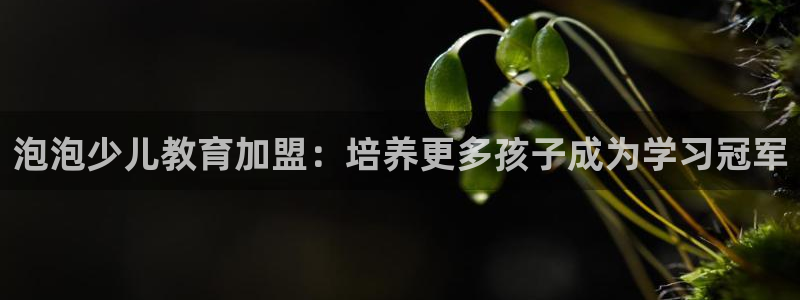 CQ9电子输了很多