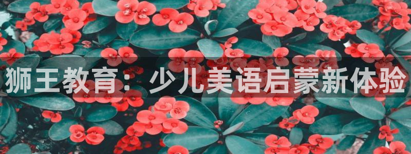 cq9传奇电子水世界