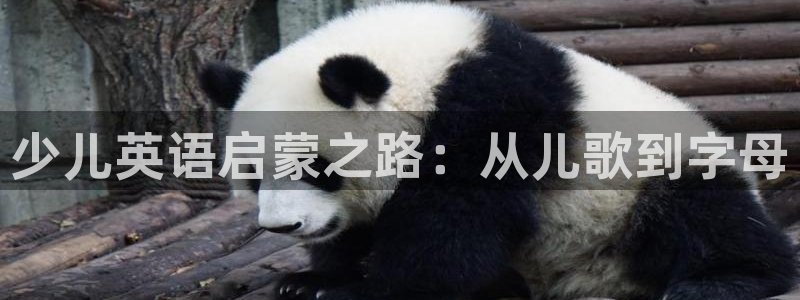 电子cq9跑得快