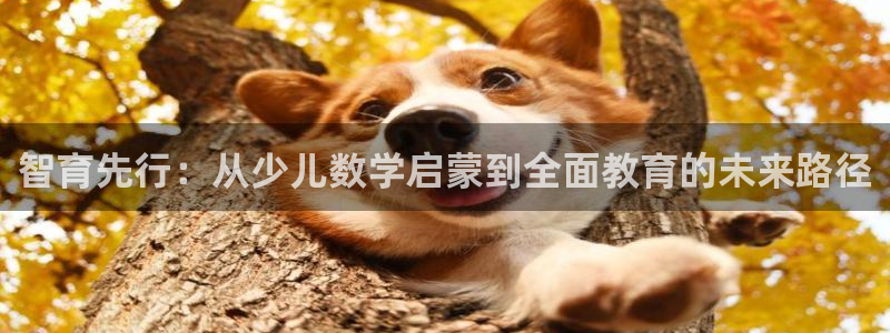官方版CQ9电子