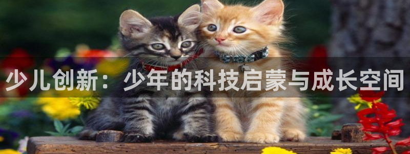 传奇电子cq9