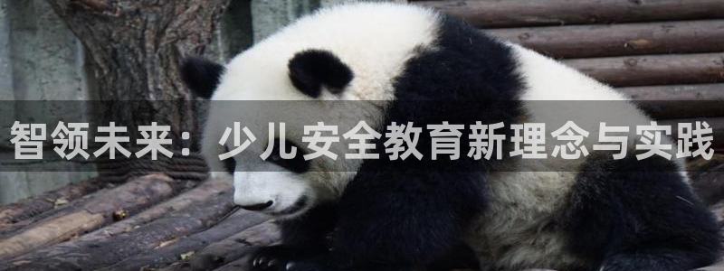 cq9电子修改