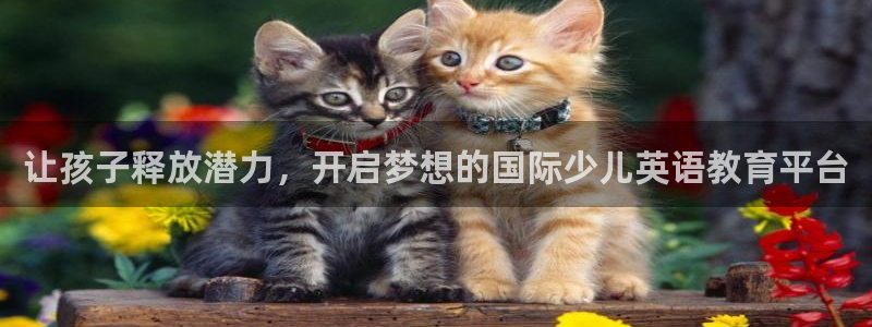cq9电子手舞