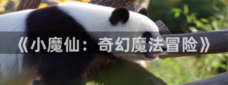 试玩cq9电子跳高高