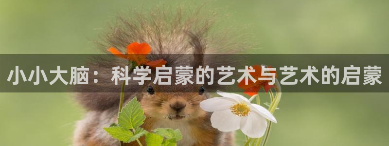 cq9电子跳高高网站