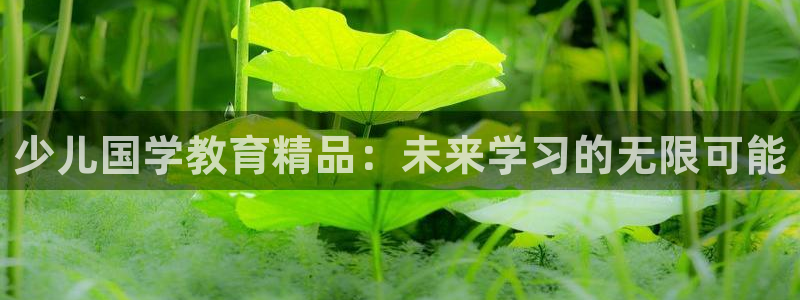 cq9电子游艺大奖视频