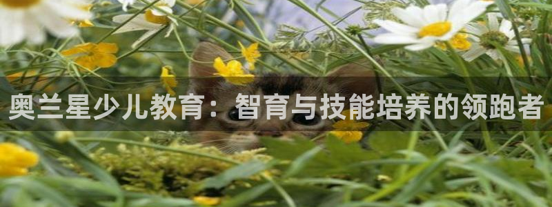 cq9电子太黑没法玩