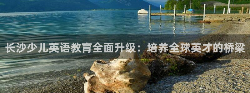 cq9电子赌城之夜