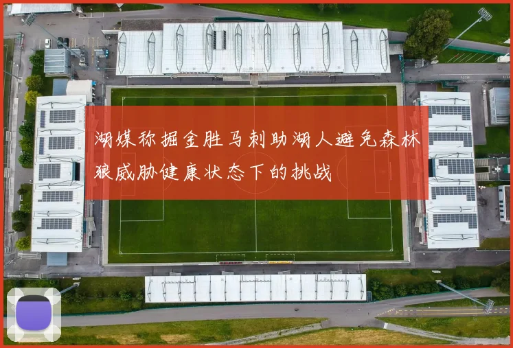 湖媒称掘金胜马刺助湖人避免森林狼威胁健康状态下的挑战