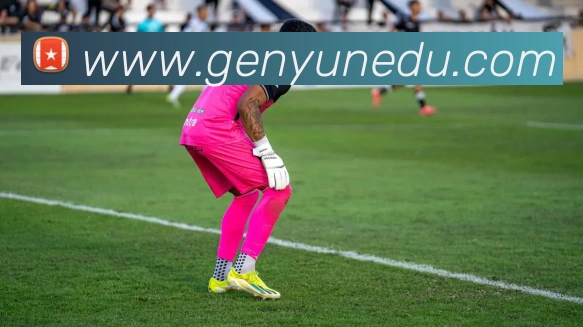 9游会ag首页发展历程